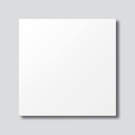 Siedle Blindmodul BM 611-0 W