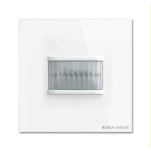 Busch-Jaeger Wächter TBW/U.1.11-CG 180 UP Sensor Standard