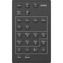 Gira Wächter, Bewegungsmelder 237300 IR fuer...